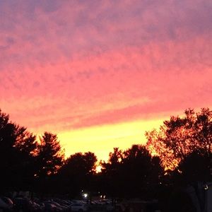 Meet your Posher, Lilit